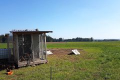 190501-04-Maiwanderung