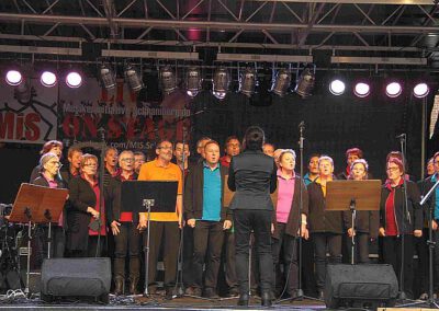 Stadtfest in Schramberg 2017